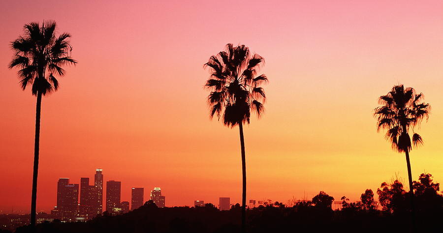 los-angeles-skyline-palm-trees-wallpaper-2